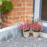 Le Bonheur Pour Tous - Rural Pmr En Ardennes Tellin