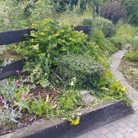 Le Bonheur Pour Tous - Rural Pmr En Ardennes Tellin