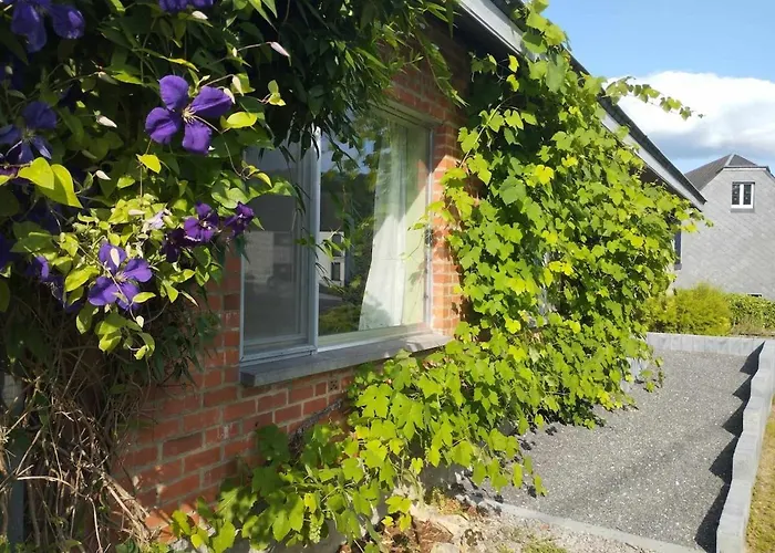 Le Bonheur Pour Tous - Rural Pmr En Ardennes Tellin