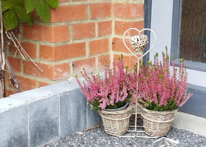 Le Bonheur Pour Tous - Rural Pmr En Ardennes Tellin